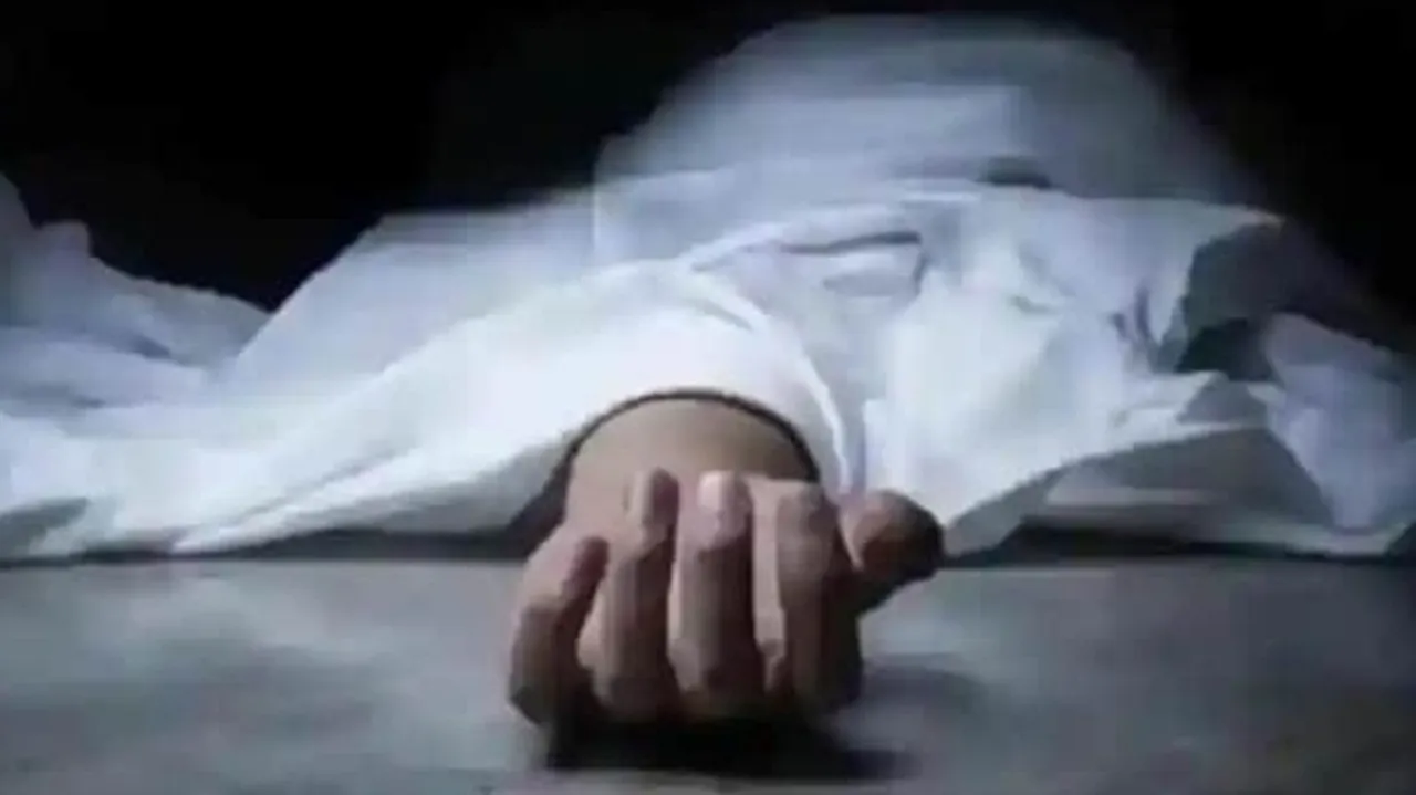 dead  hansot