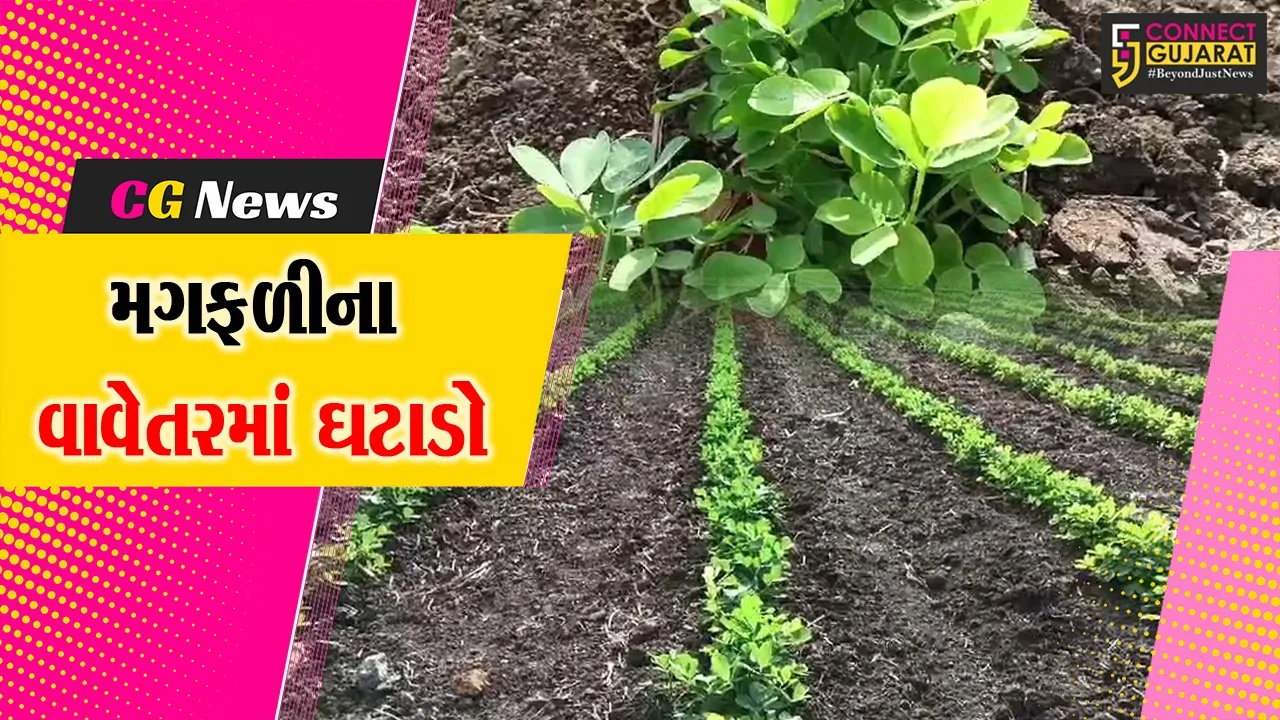 વરસાદ
