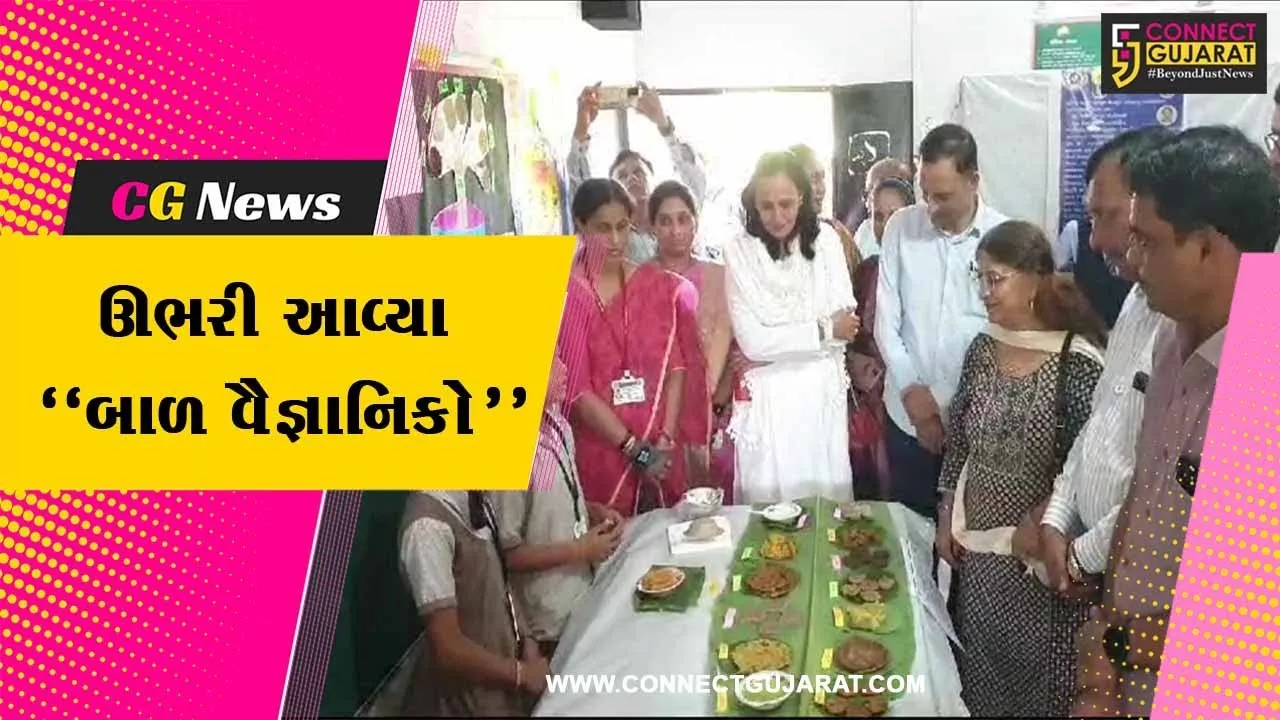 અંકલેશ્વર : સુરવાડી પ્રાથમિક શાળામાં યોજાયું બાળ વૈજ્ઞાનિક પ્રદર્શન, પર્યાવરણ-પ્રકૃતિને લગતી કૃતિઓ રજૂ કરાય...