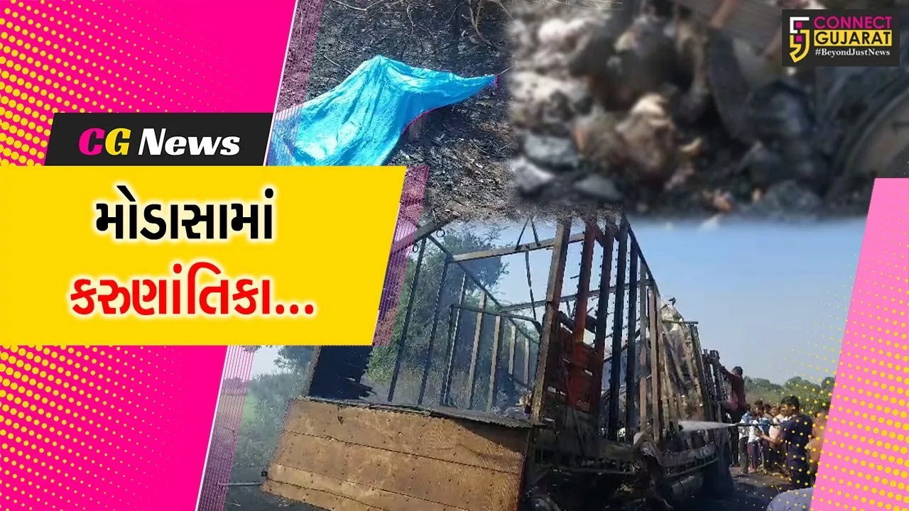 અરવલ્લી : ટ્રકમાં આગ લાગતાં એક જ પરિવારના 3 લોકો સહિત 100થી વધુ ઘેટાં-બકરા મોત…