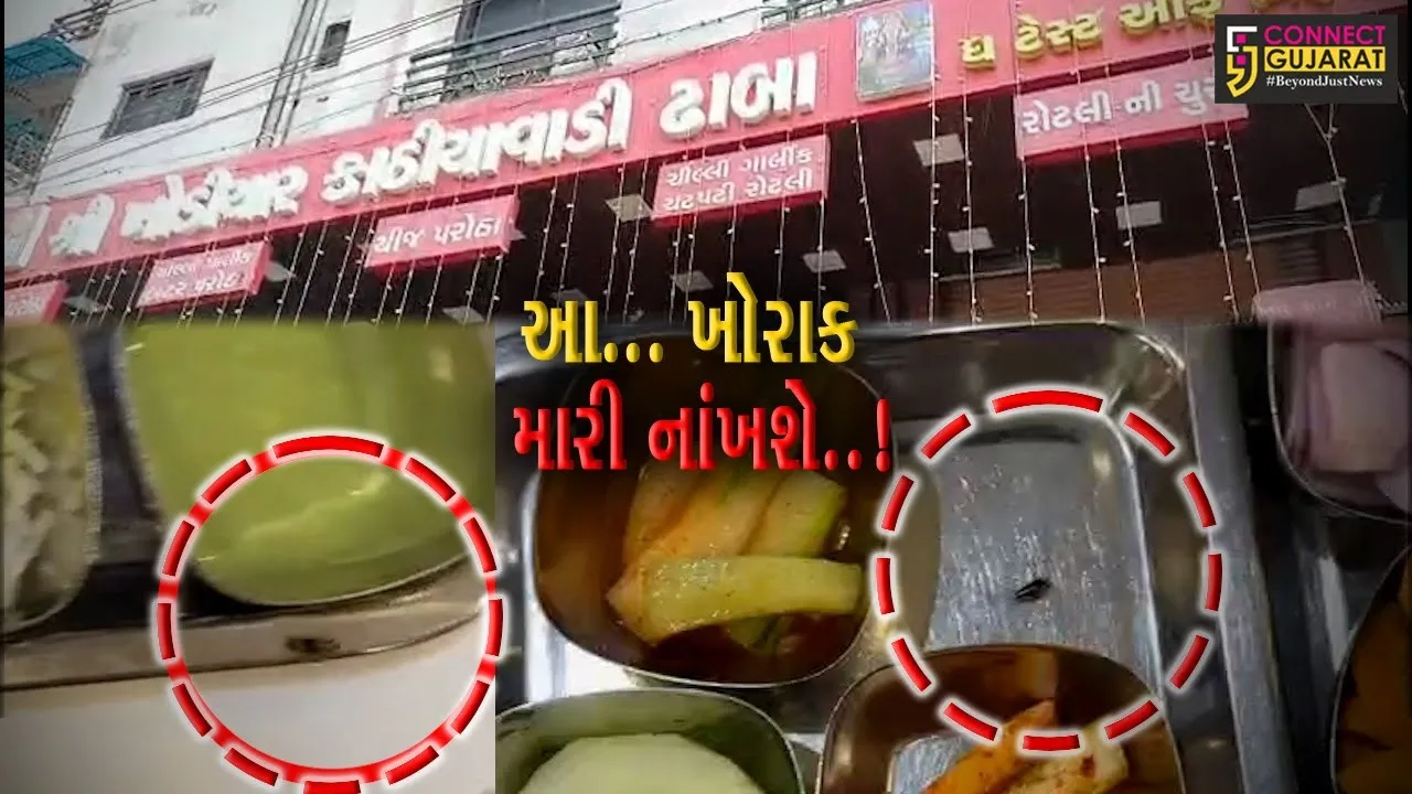 ભરૂચની ખોડિયાર કાઠિયાવાડી ઢાબાના સલાડમાં જીવતો વંદો નીકળતા ગ્રાહકે હોટલ માથે લીધી..!