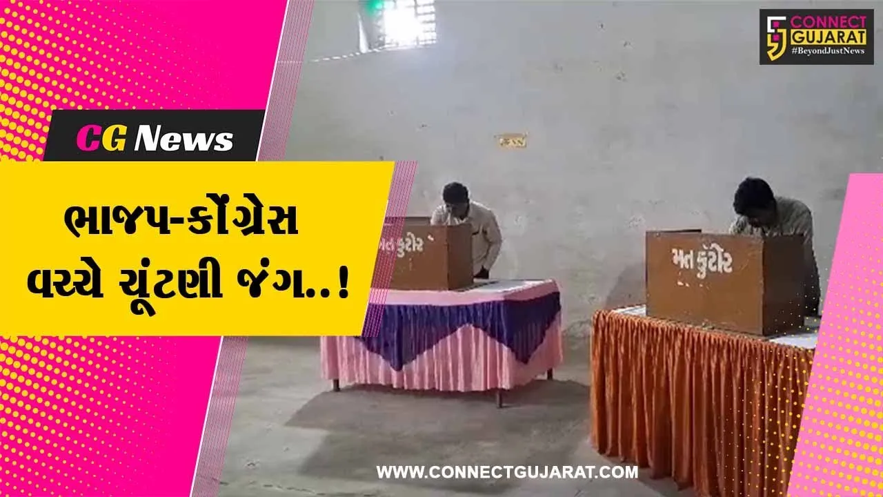 અમરેલી : ધારી APMCની ચૂંટણી માટે થયું મતદાન, ભાજપ-કોંગ્રેસે કર્યો પોતાની જીતનો દાવો..!