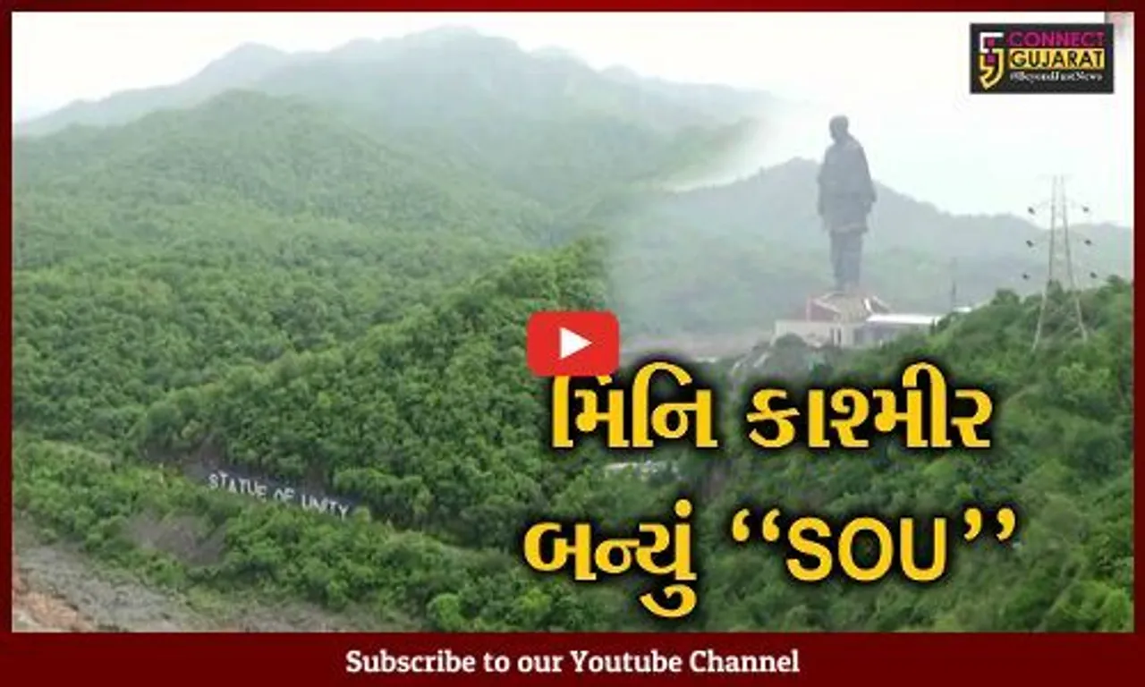 નર્મદા : મેઘમહેર થતાં SOU નજીક પ્રકૃતિ સોળે કળાએ ખીલી ઉઠી, પ્રાકૃતિક સૌંદર્યનો નજારો માણવા પ્રવાસીઓ ઉમટ્યા