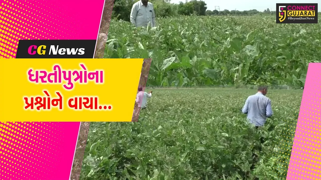 ધરતીપુત્રોના પ્રશ્નોને હકારાત્મક વાચા આપવા રાજ્ય સરકારનો ખેડૂત હિતલક્ષી નિર્ણય : કૃષિ મંત્રી રાઘવજી પટેલ