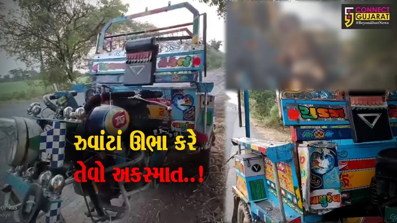 જુનાગઢ : છકડો રિક્ષા ચાલક ઝાડ સાથે ભટકાતાં ભયંકર અકસ્માત, દ્રશ્યો જોઈ ભલભલાના રુવાંટાં ઊભા થયા...