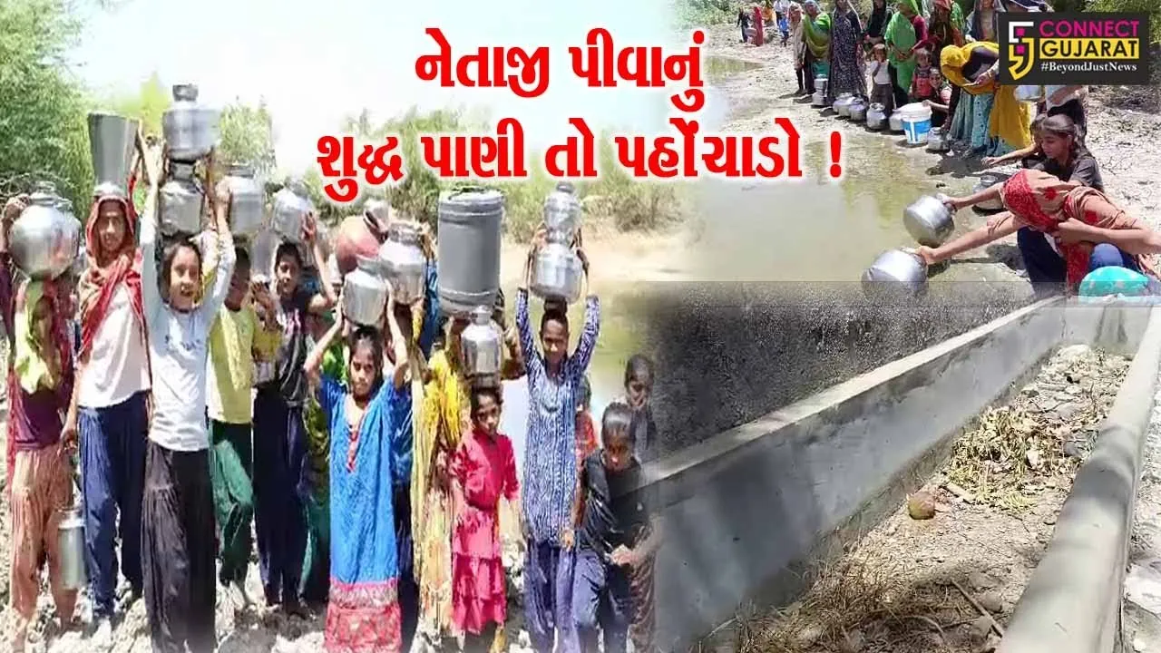 પાટણ: રાધનપુરના ભાડીયા ગામે પીવાના પાણીની પારાયણ, પ્રચાર અર્થે પહોંચેલા નેતાજીને લોકોએ ઘેર્યા