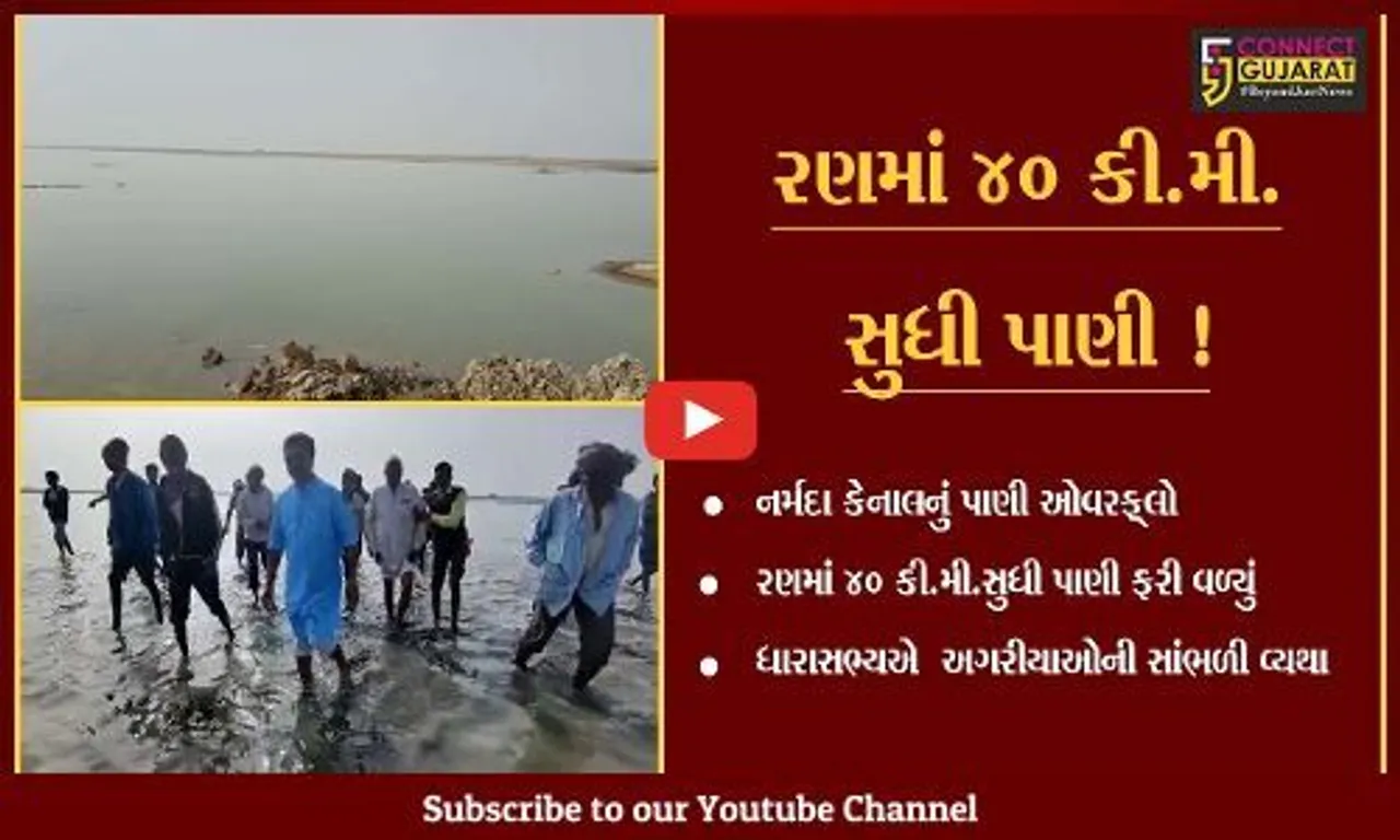 સુરેન્દ્રનગર: નર્મદાનું પાણી 40 કિ.મી.રણમાં ફરી વળતા ધારાસભ્યએ 3 કિ.મી. કાદવમાં ચાલીને અગરિયાની વ્યથા સમજી