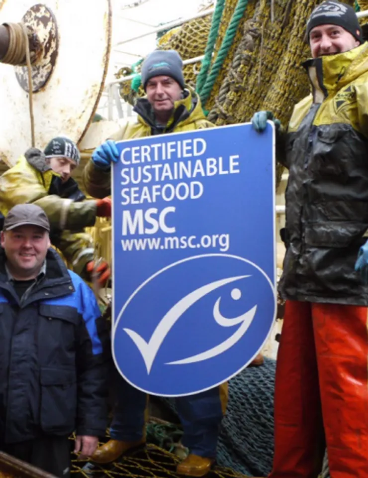 The Limits For Seafood Certification