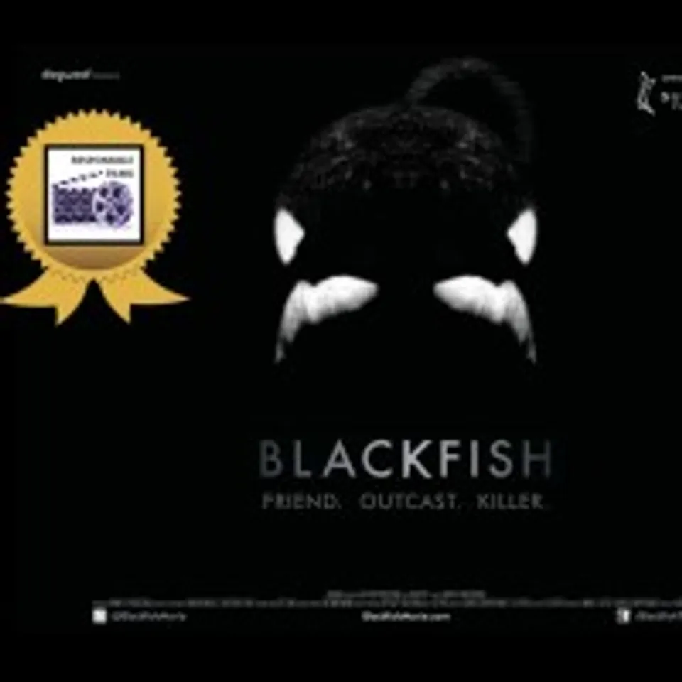 Responsible Films: Blackfish