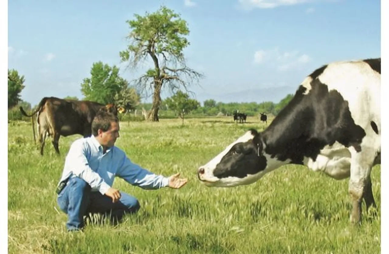 Sustainability, Innovation, Cows, Milk & Reporting