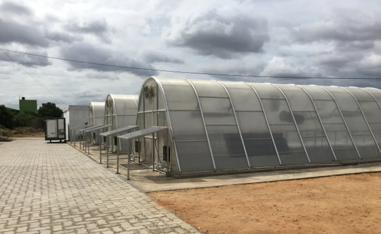 Tamil Nadu Mango Farmers Install Green House Solar Dryers Adapting Covestro's Technology