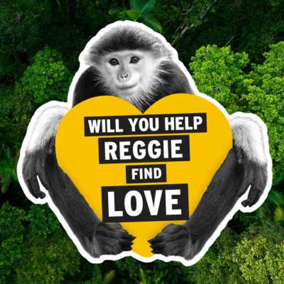 The Body Shop Bio-Bridges Are Helping Endangered Species Find Love!