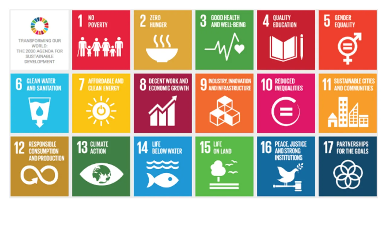 What Is The Business Case For The Sustainable Development Goals?