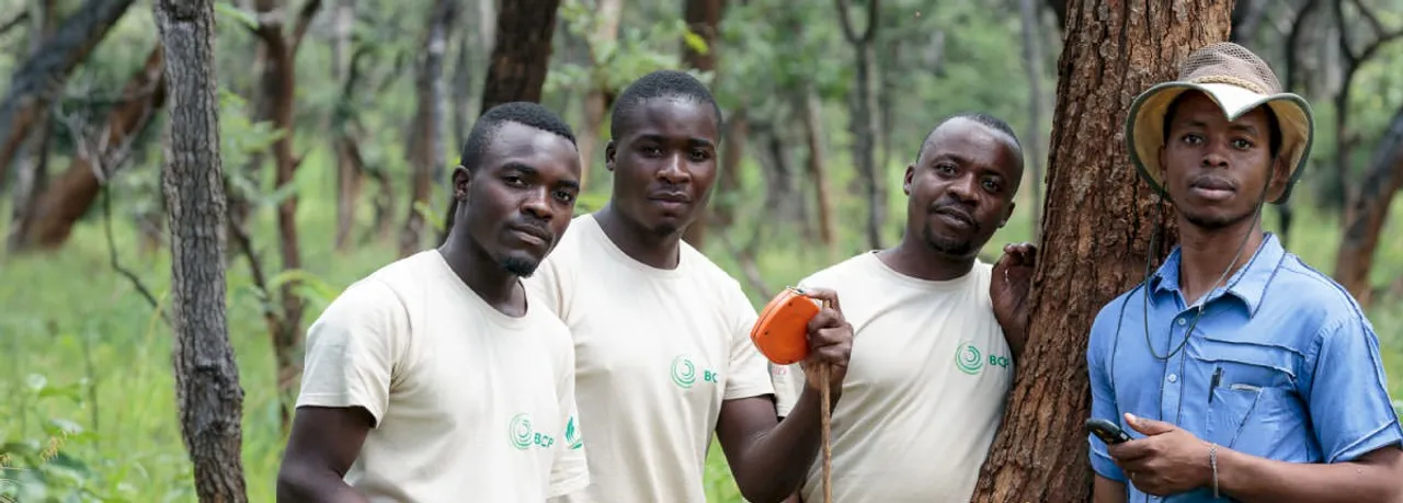Zambia Sets Global Benchmark For Community Forest Conservation