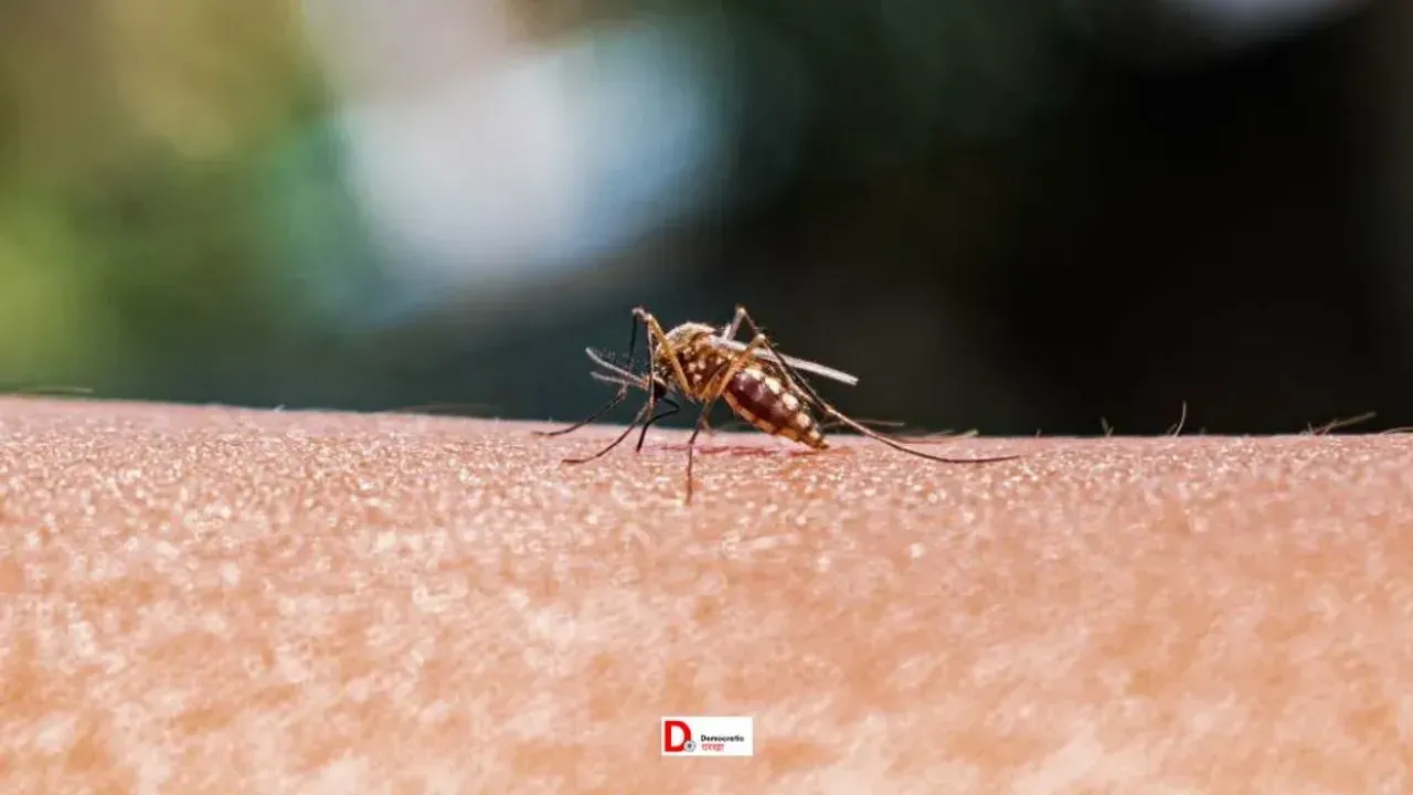 बिहार में डेंगू का कहर