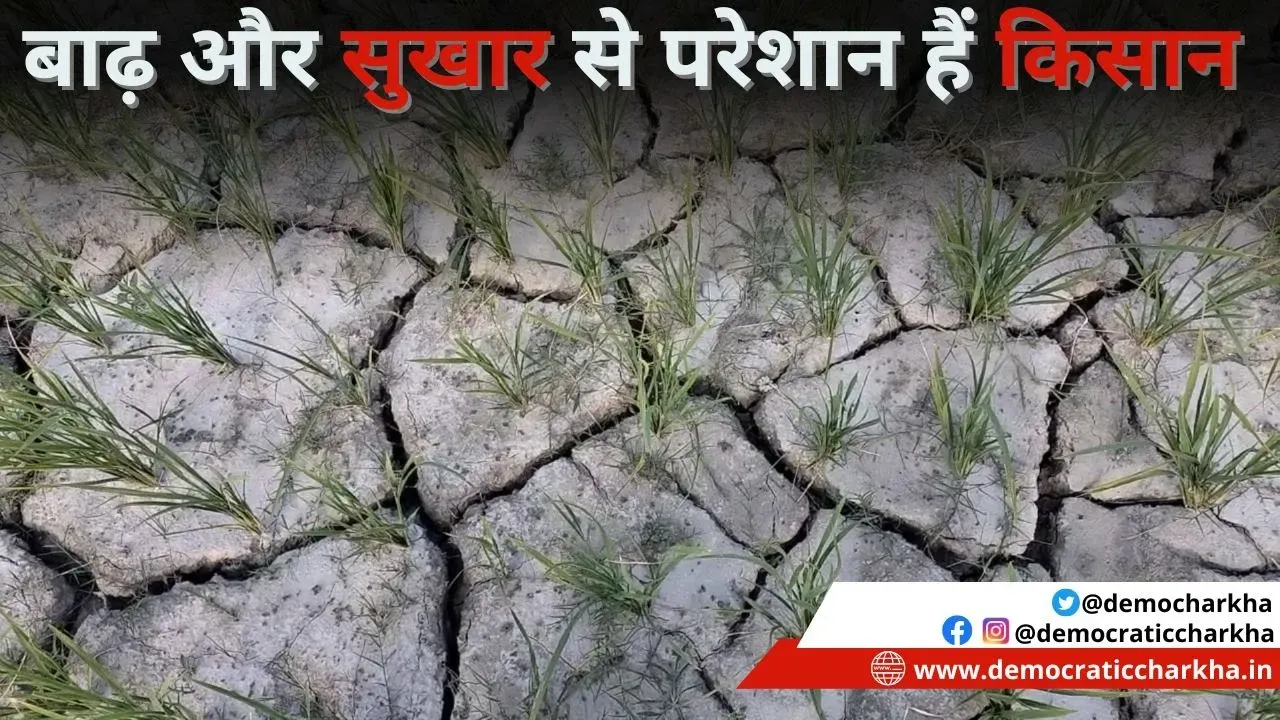 बिहार में सूखा की स्थिति से किसानों को नुकसान, नहीं मिल रही सरकारी मदद