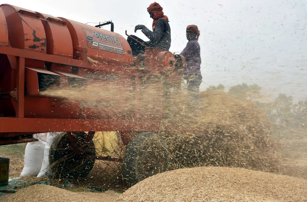 धान ख़राब का मुआवज़ा ख़त्म, बिहार के किसानों को बड़ा नुकसान