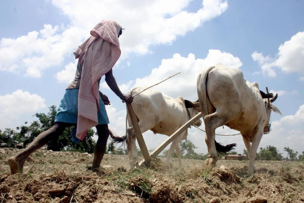 बिहार: बदलते मौसम का किसानों पर क्या पड़ रहा है असर?