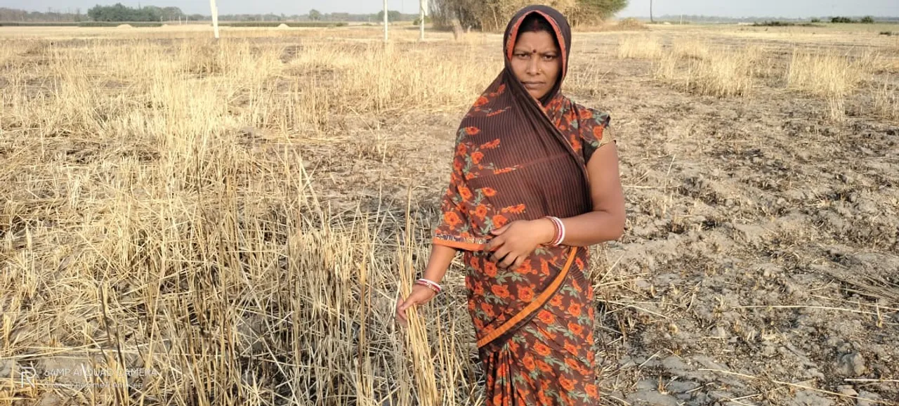 बिहार में सूखा की वजह से खेती पर असर, किसानों की पूरी फ़सल बर्बाद