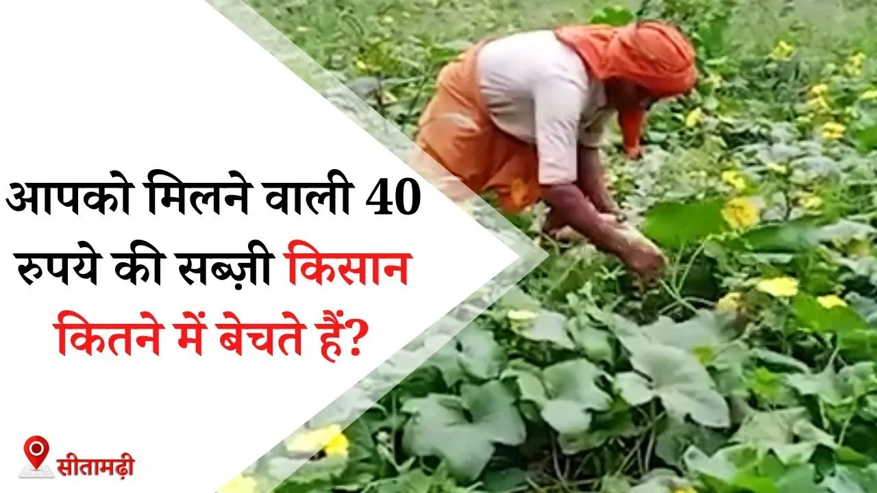 आपको मिलने वाली 40 रूपए किलो की सब्ज़ी किसान कितने में बेचते हैं?