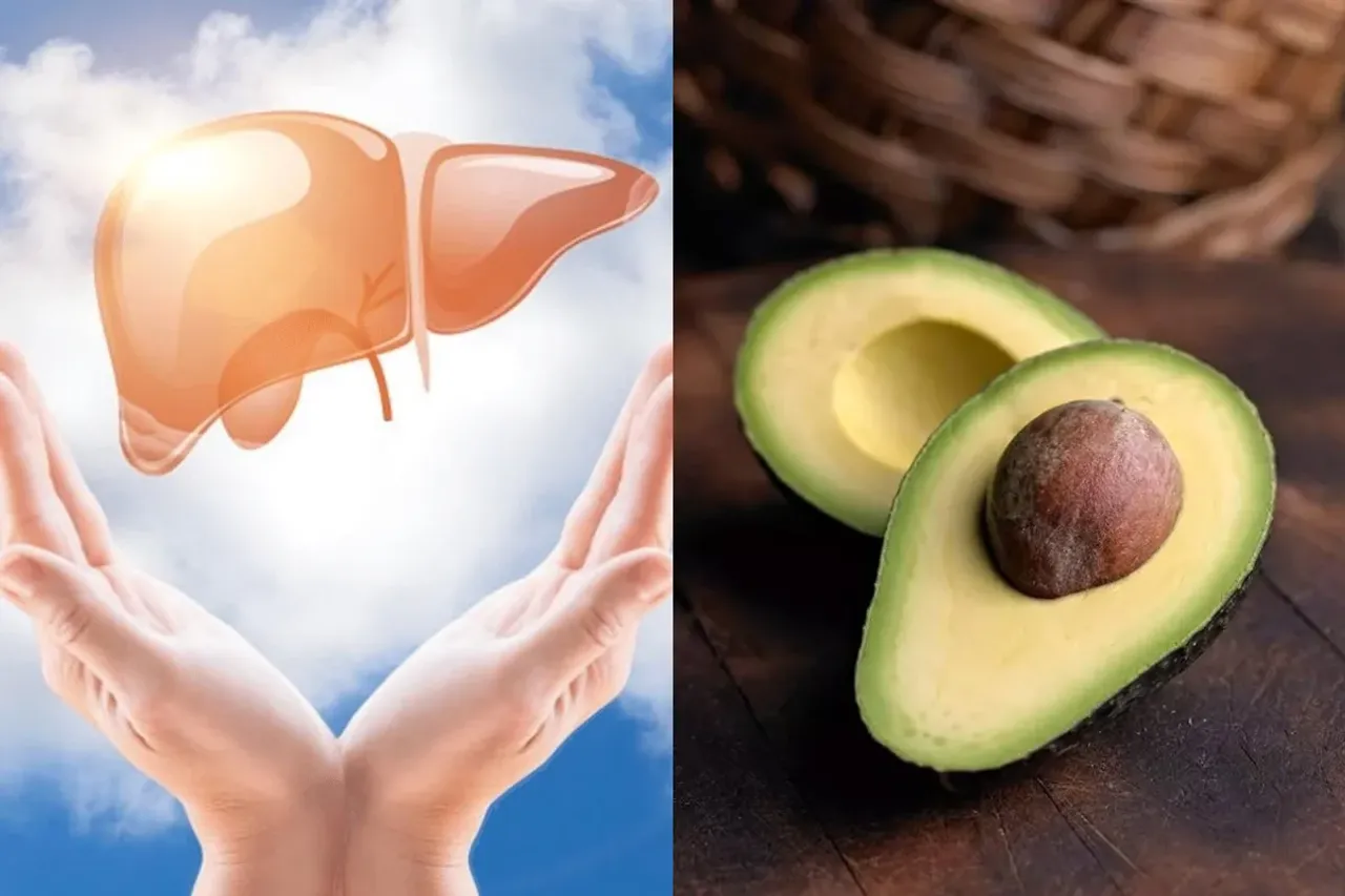 Fatty Liver 