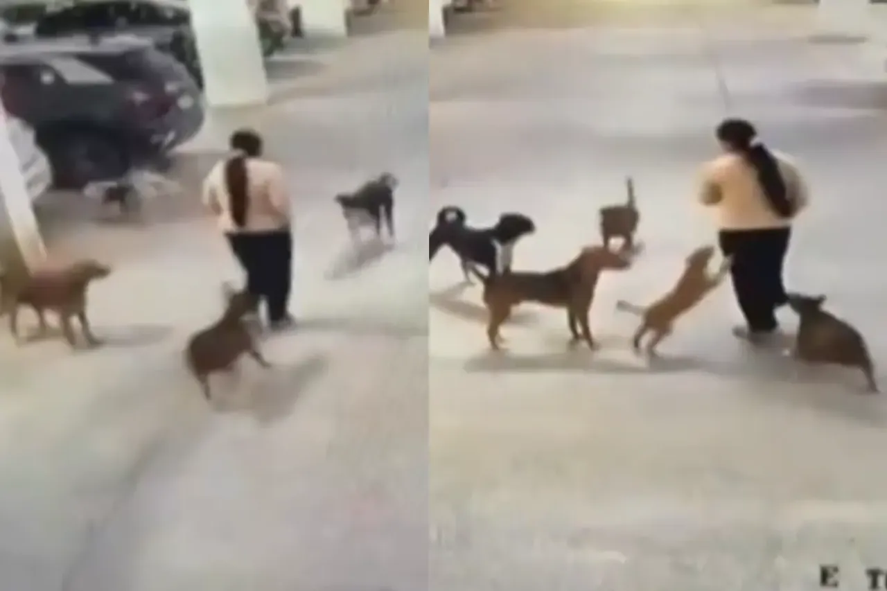 Greater Noida Viral Video