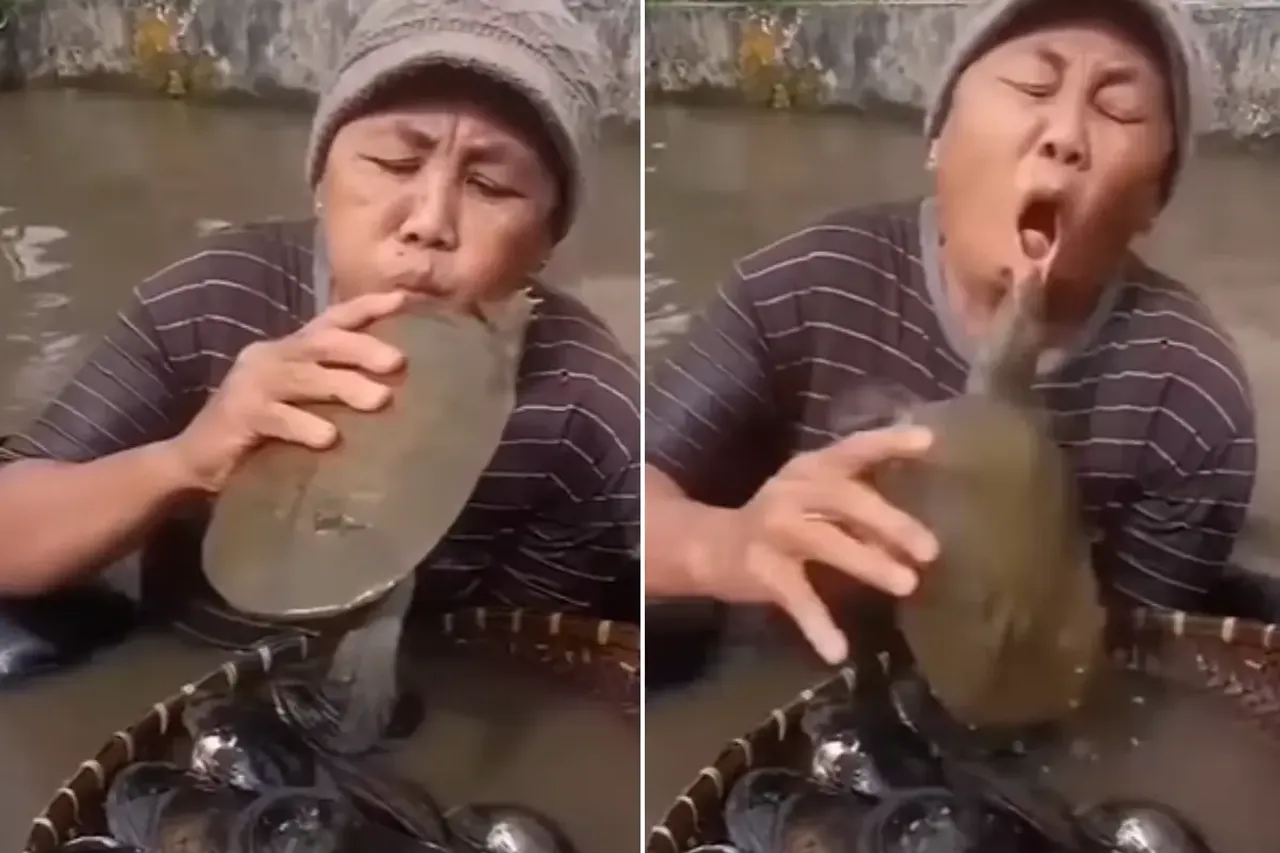 Viral Video