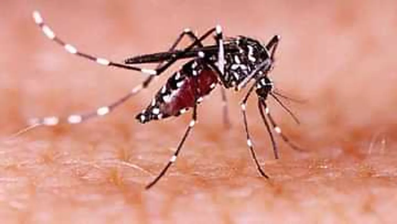 Zika