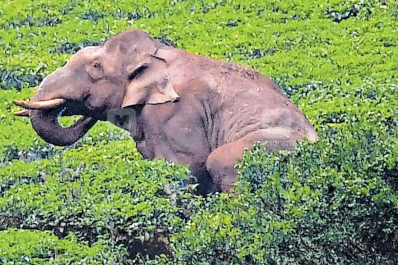Tamil Nadu