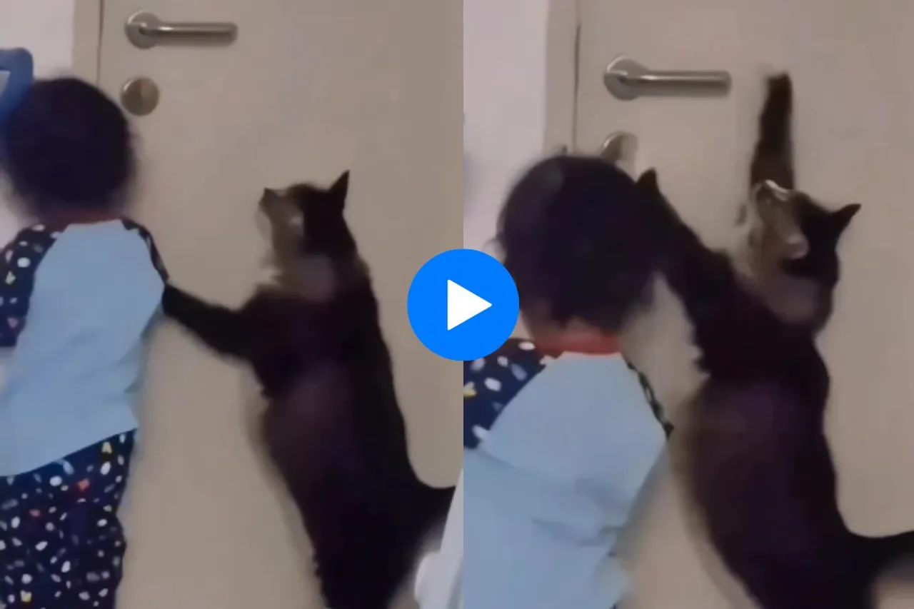 Viral Video
