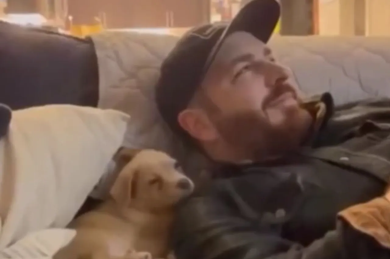 Animal Viral Video