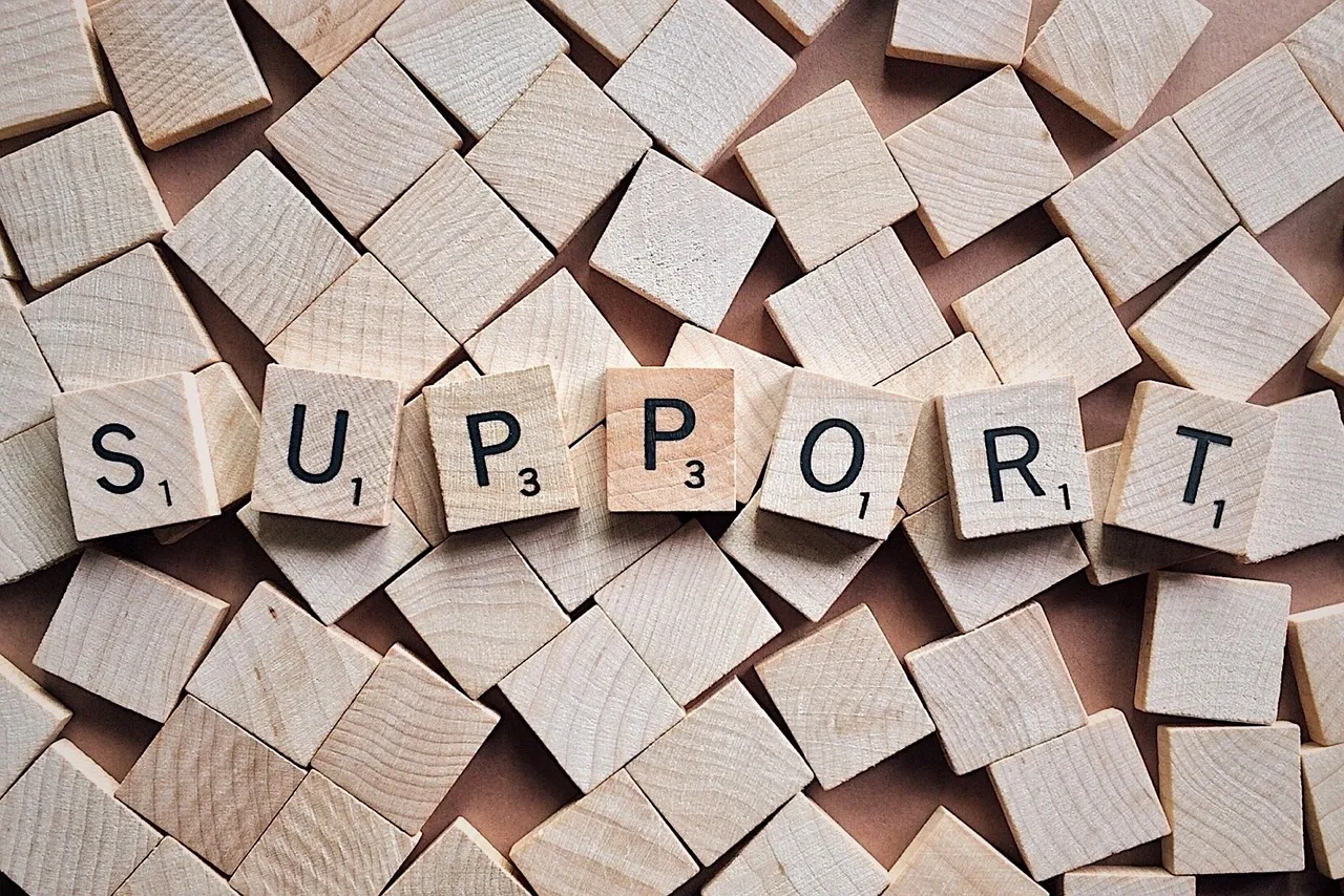 Customer Support Framework for Complex Software Tools