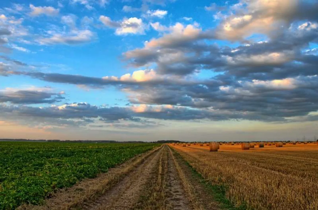 How a startup wants to transform Indian agriculture by using the cloud