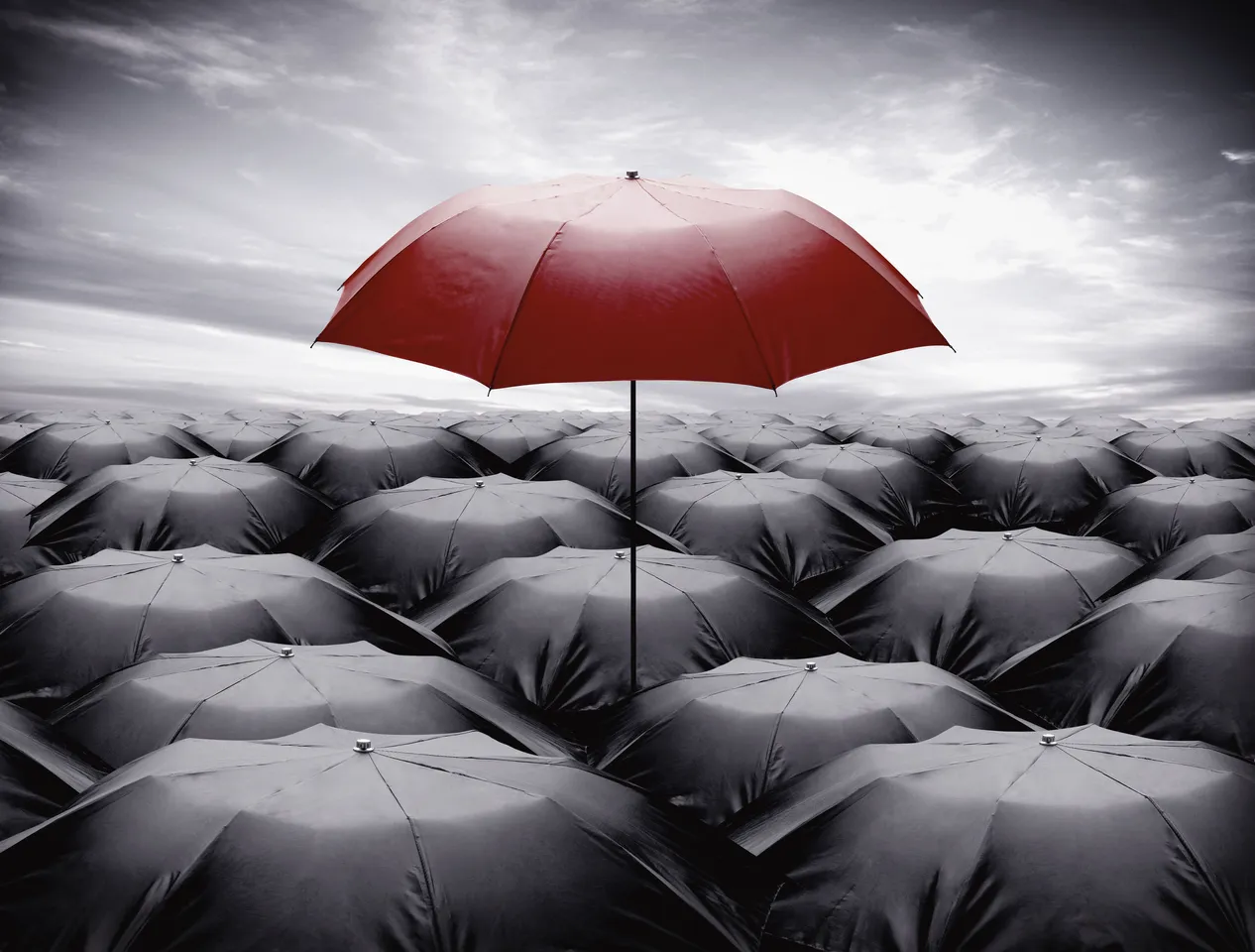 IoT Set to Impact Risk Management and Weather Insurance Sector in a ‘Big’ Way