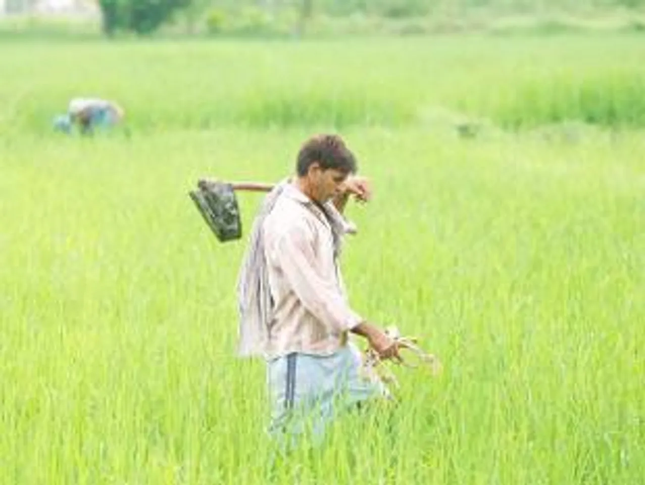 Microsoft and ICRISAT’s Intelligent Cloud pilot for Agriculture increase crop yield for farmers