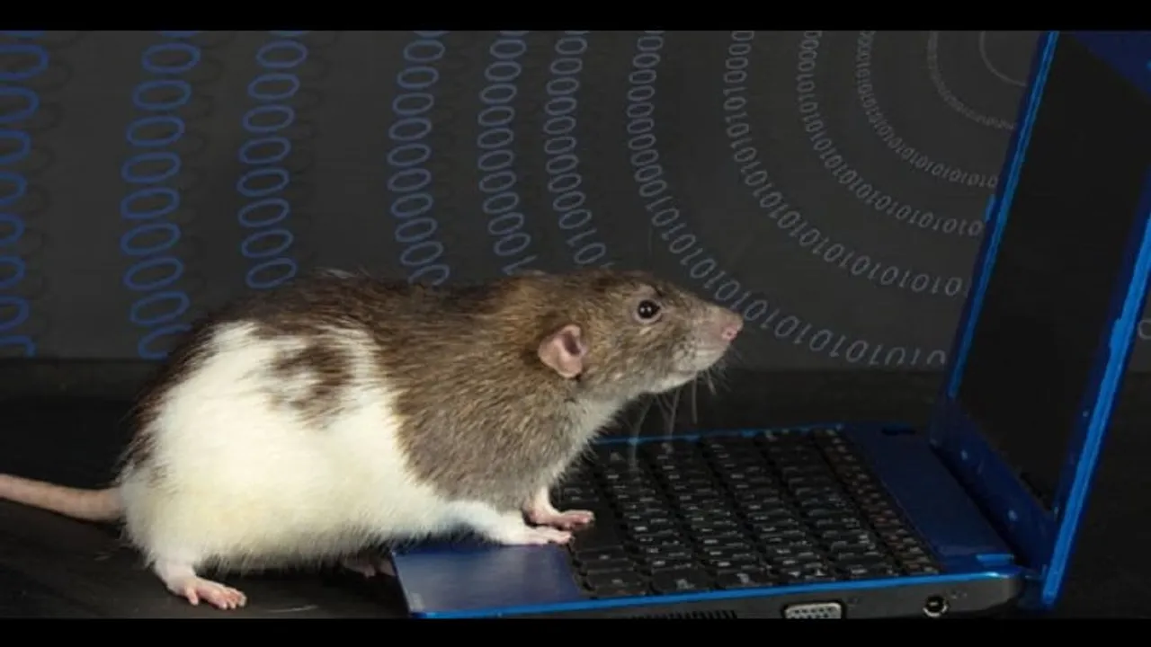 Parallax RAT Payload After Hacker Forums Promotion