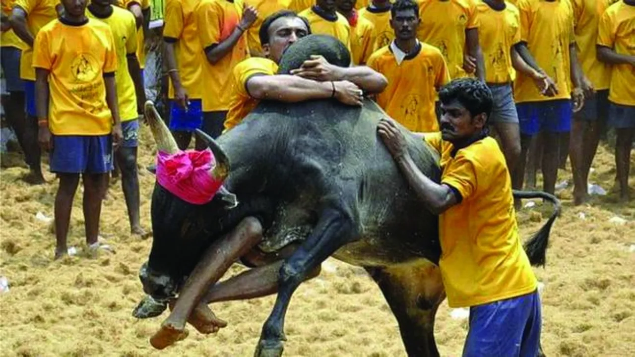 TN Channel Fraternity Observe ‘dawn-to-dusk’ bandh For Jallikattu