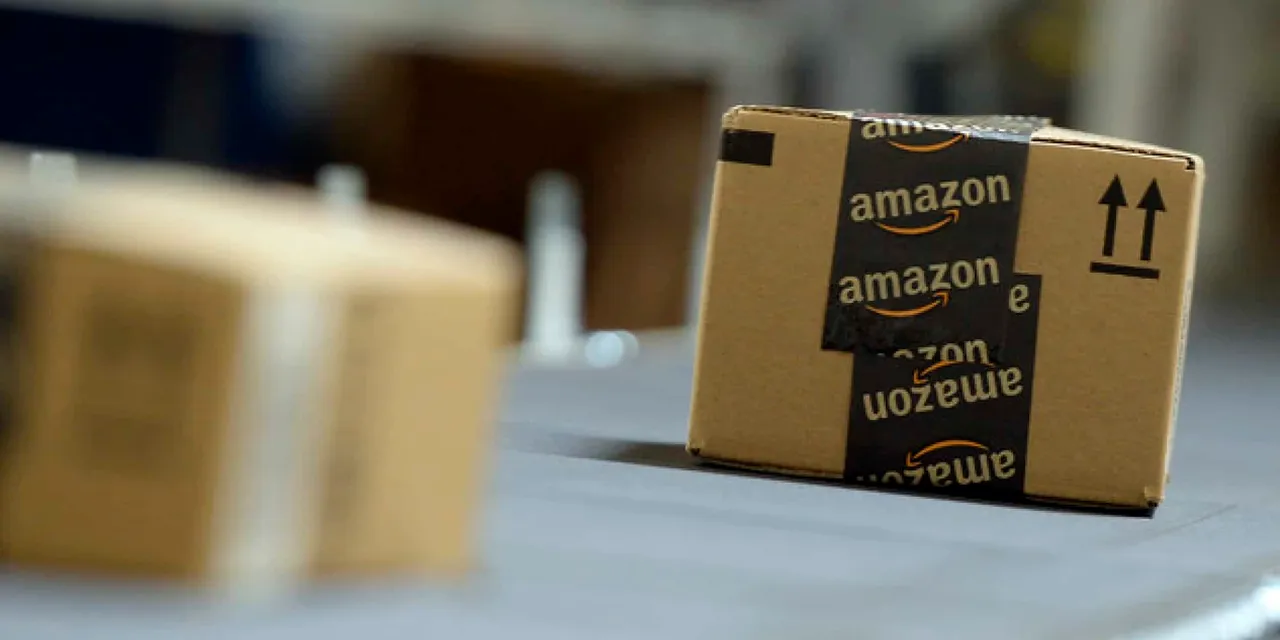 Amazon wholesale gets Rs 100cr business pump