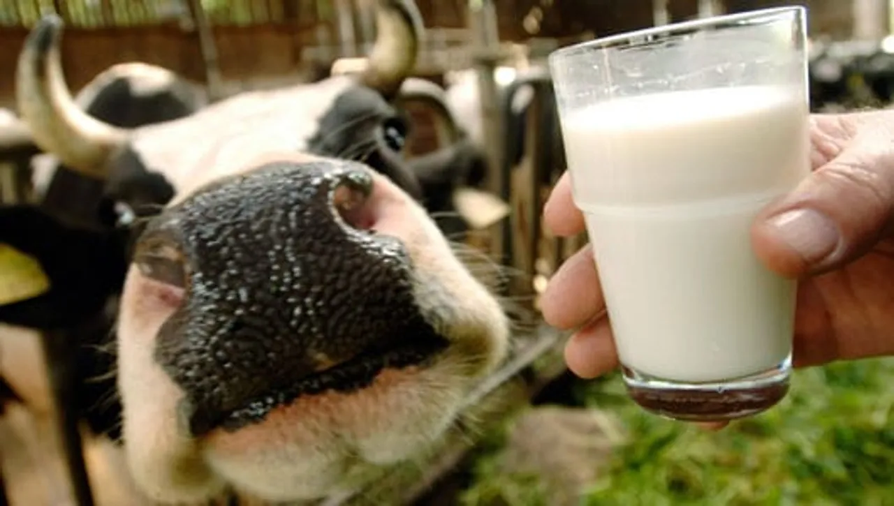 Benefits of cow's fresh milk substantiated by research