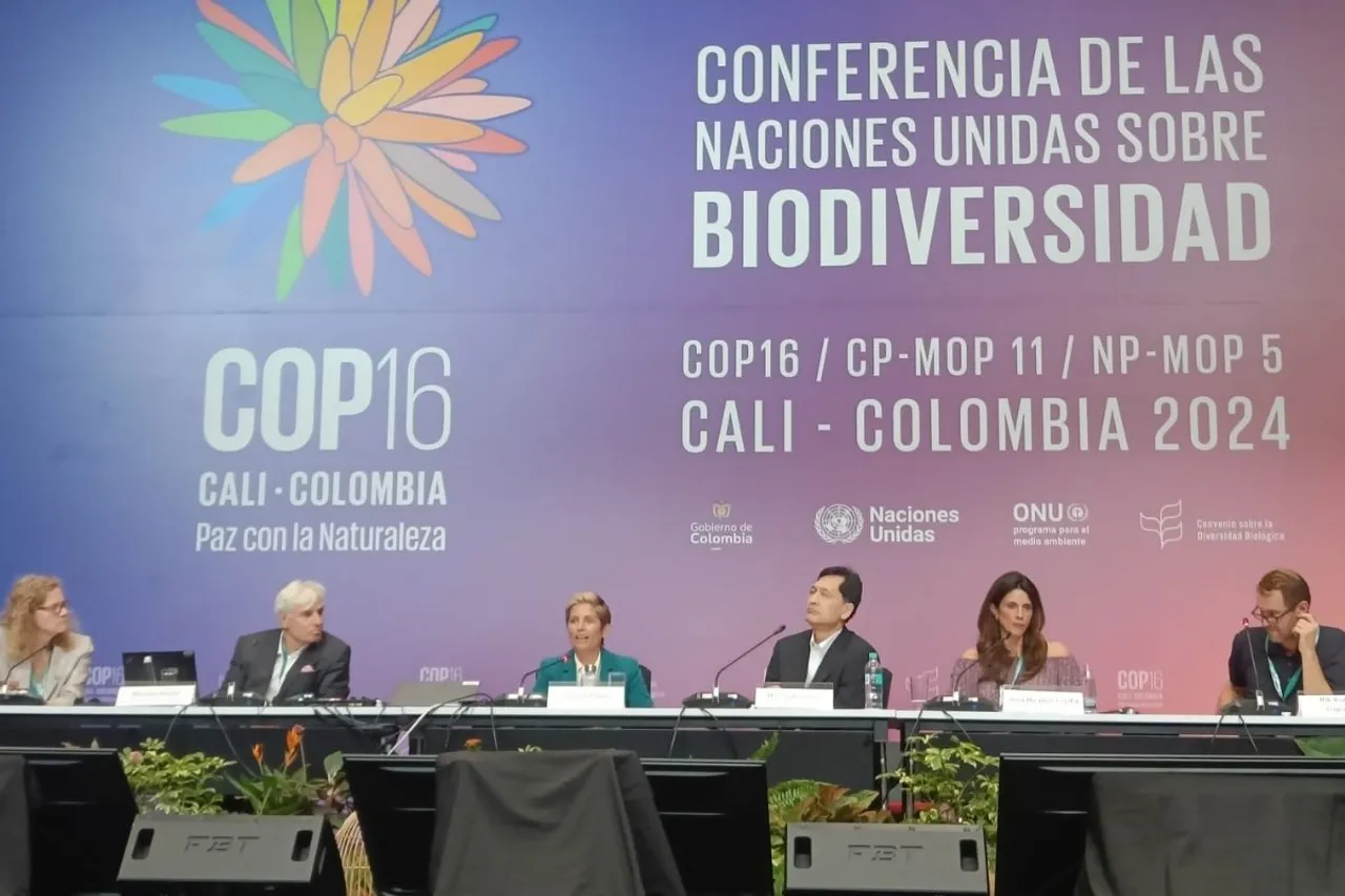 COP16 summit in Colombia ends without financial roadmap agreement
