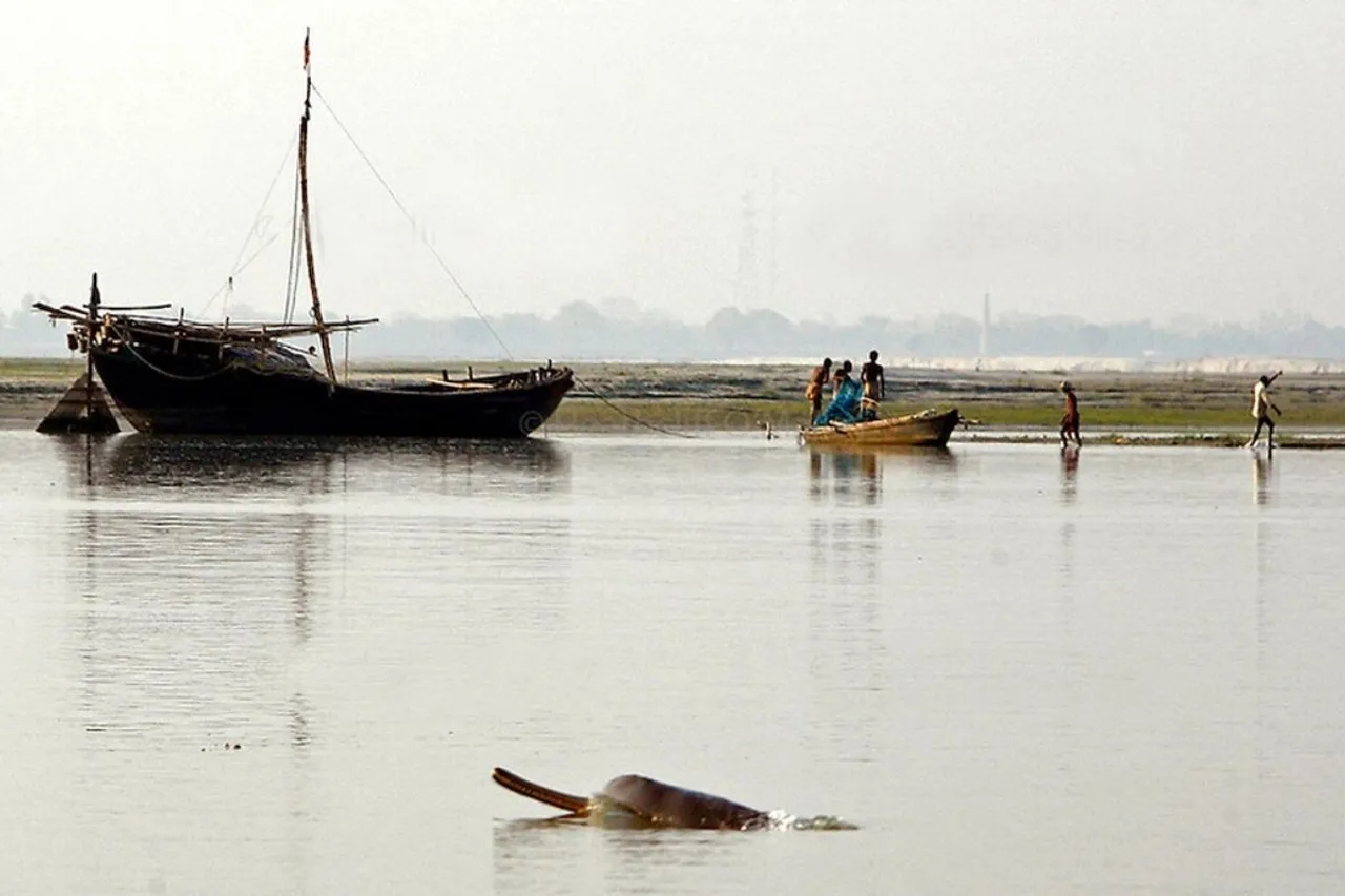 Patna's Dolphin Research Centre still inactive after months of inauguration