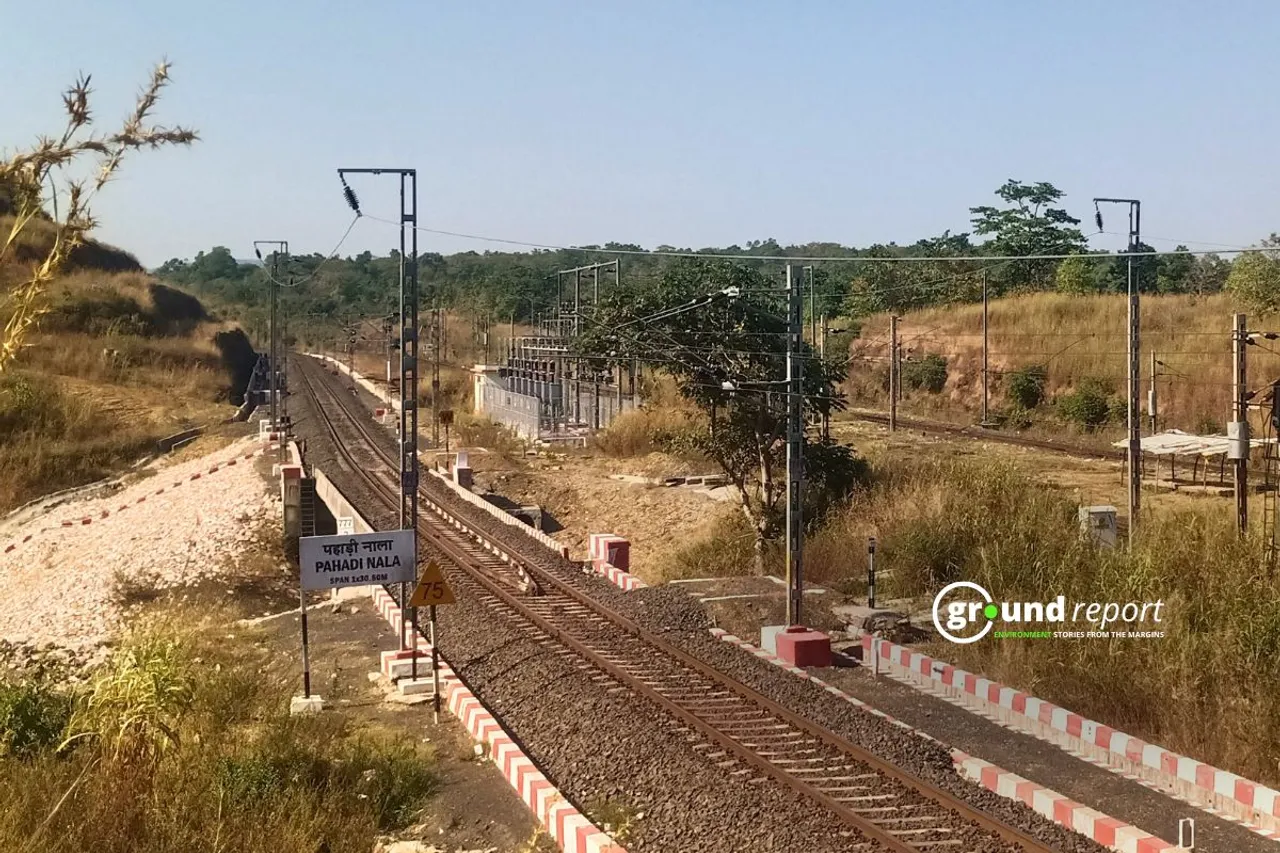 Midghat Budhni Train kill tiger cubs