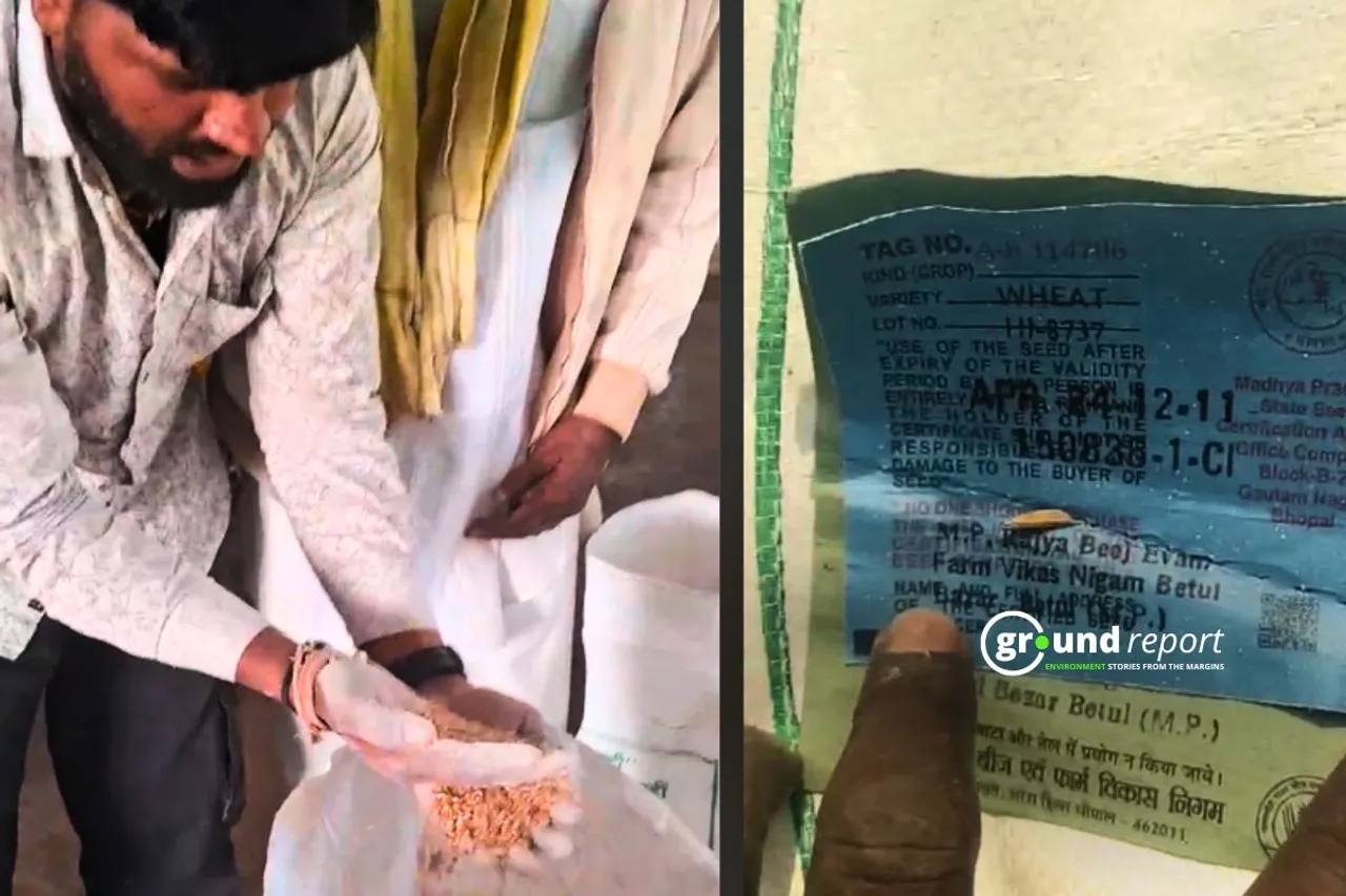 Infected seeds distributed to farmers in MP