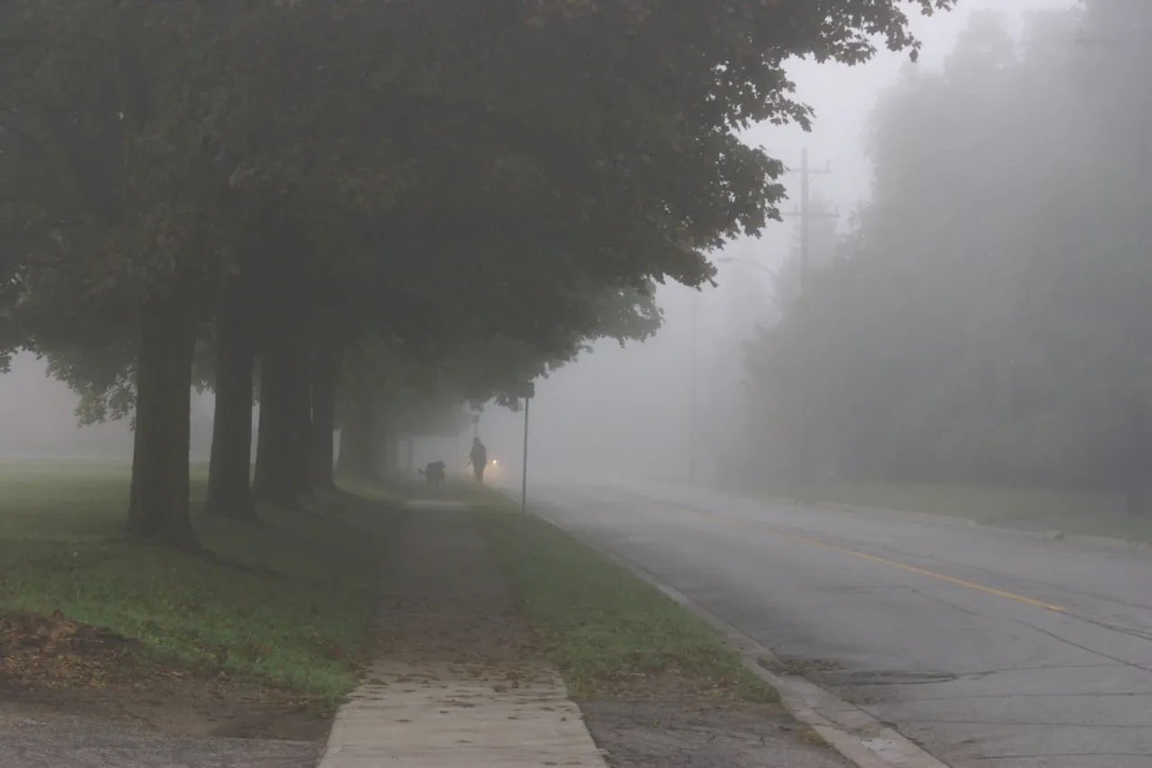 foggy and fog in madhya pradesh