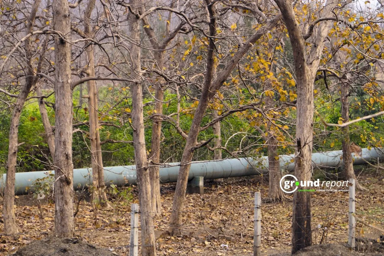Forests of Madhya Pradesh Morand Ganjal Irrigation project