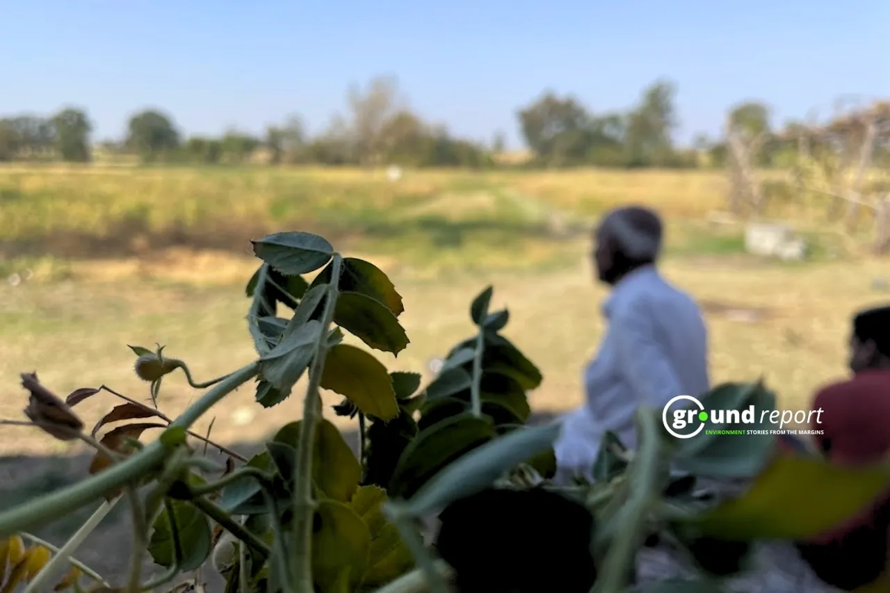Chickpea Farmer in his field in Madhya Pradesh