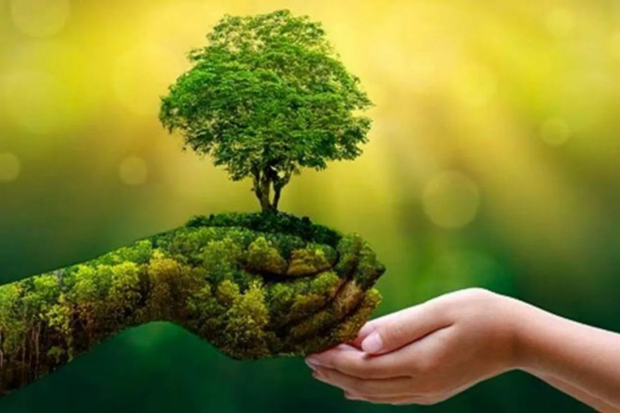 The Role of Environmental Monitoring in Combating Air Pollution in India