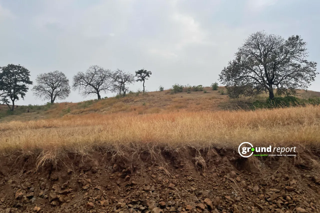 Madhya Pradesh  gully erosion 1