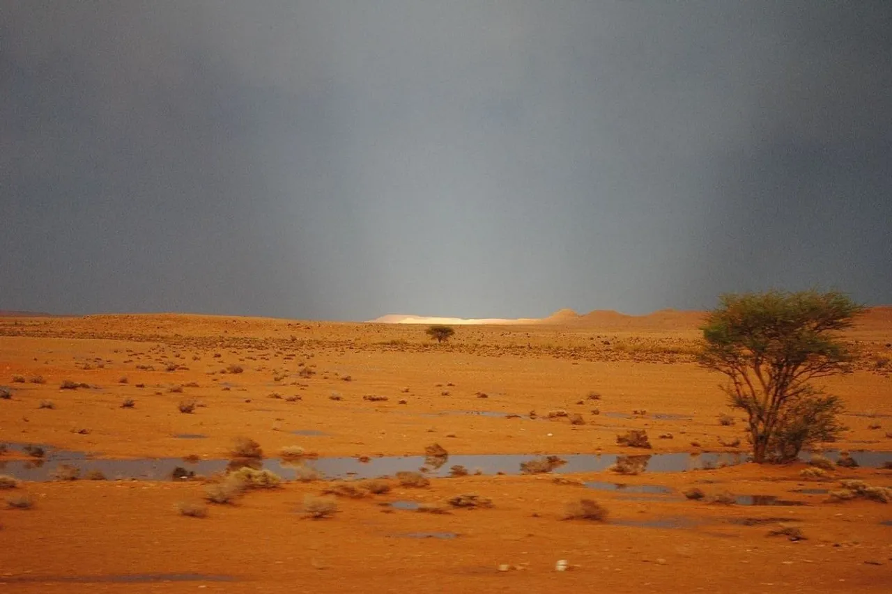 Sahara Desert flood12aa