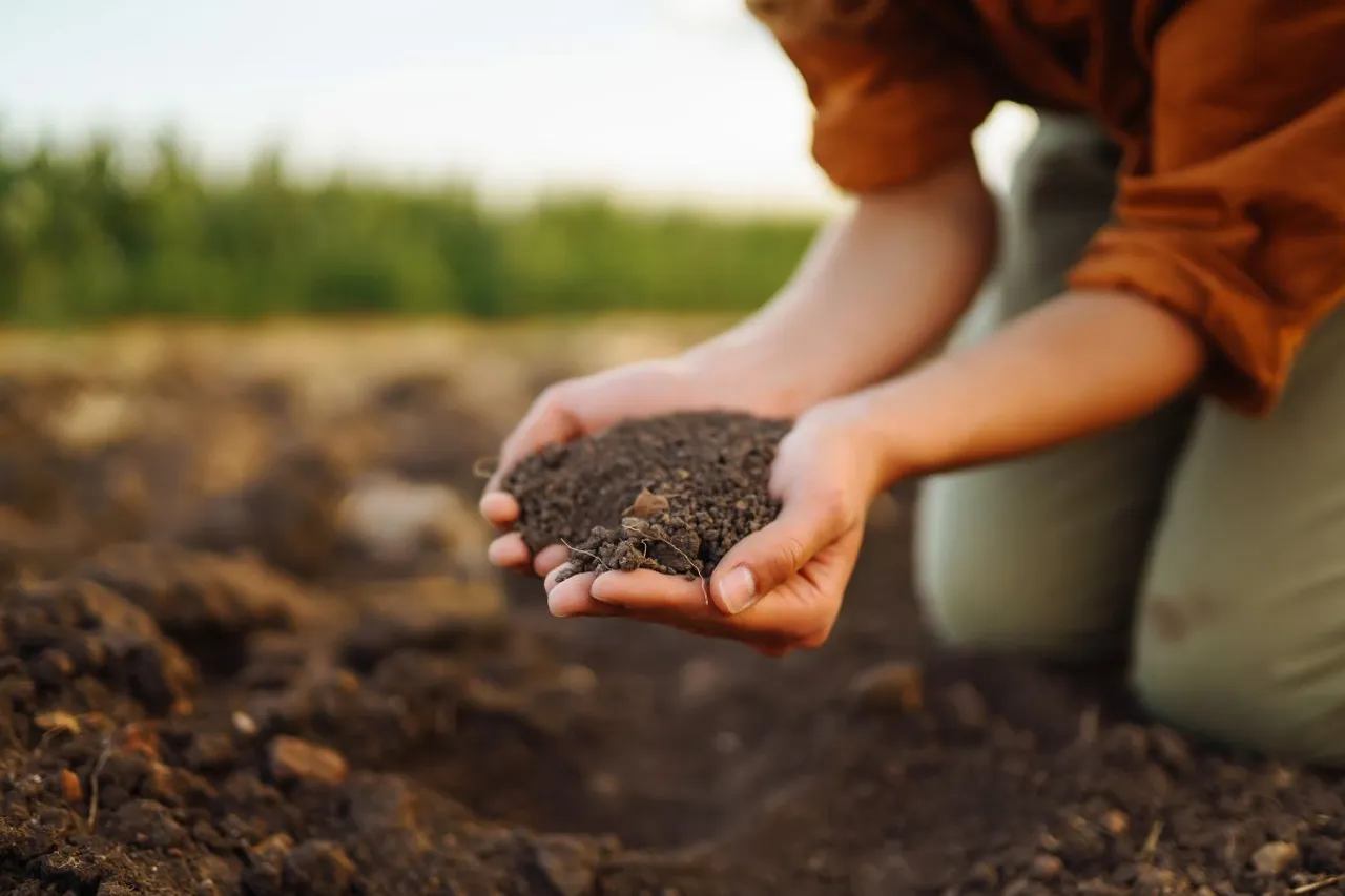 Soil in Hand